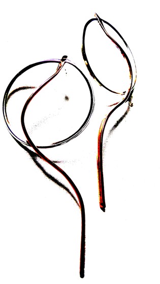 JOALHERIA DE AUTOR: Brinco Circo